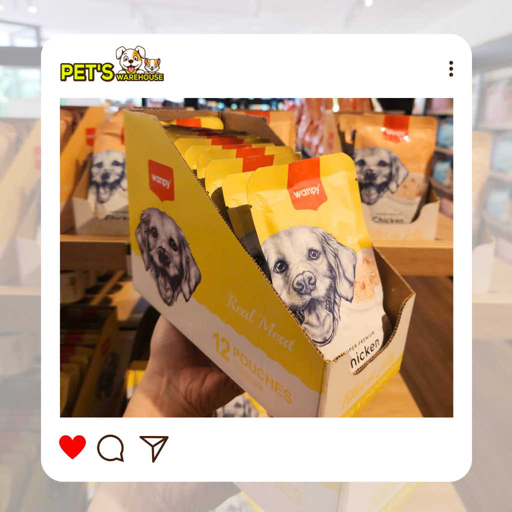 Pate Super Premium Wanpy Cho Chó Gói 100G