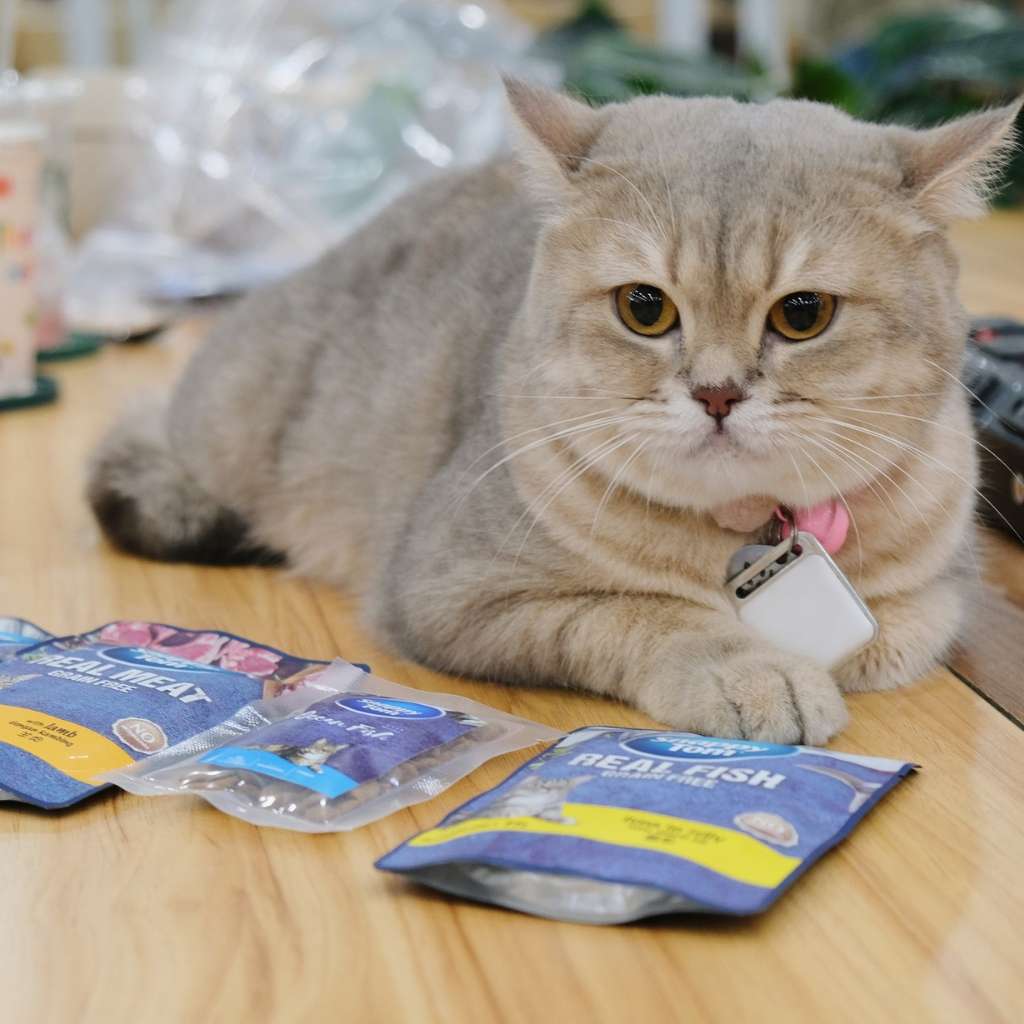 Pate Snappy Tom Real Fish Mèo 85G