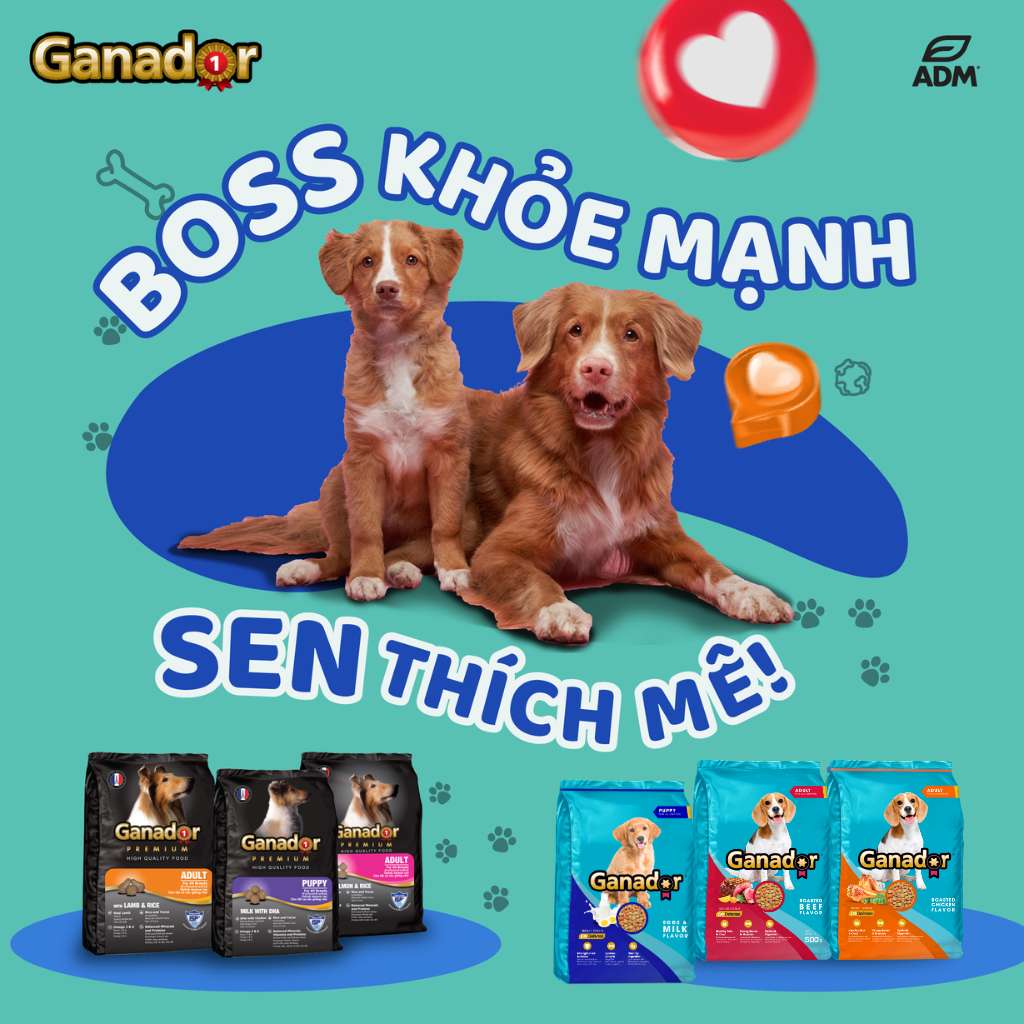 Hạt Ganador cho chó mọi lứa tuổi, nhiều vị, 400g | Pet's Warehouse