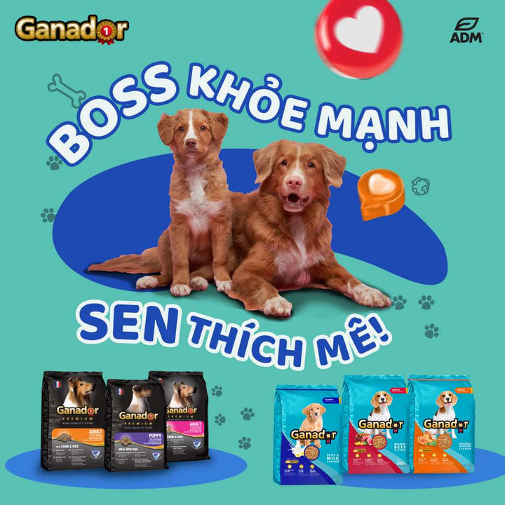 Hạt Ganador cho chó mọi lứa tuổi, nhiều vị, 400g | Pet's Warehouse