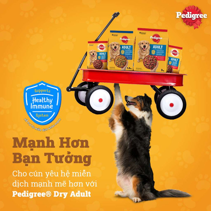 Hạt Pedigree Chó Trưởng Thành 3KG