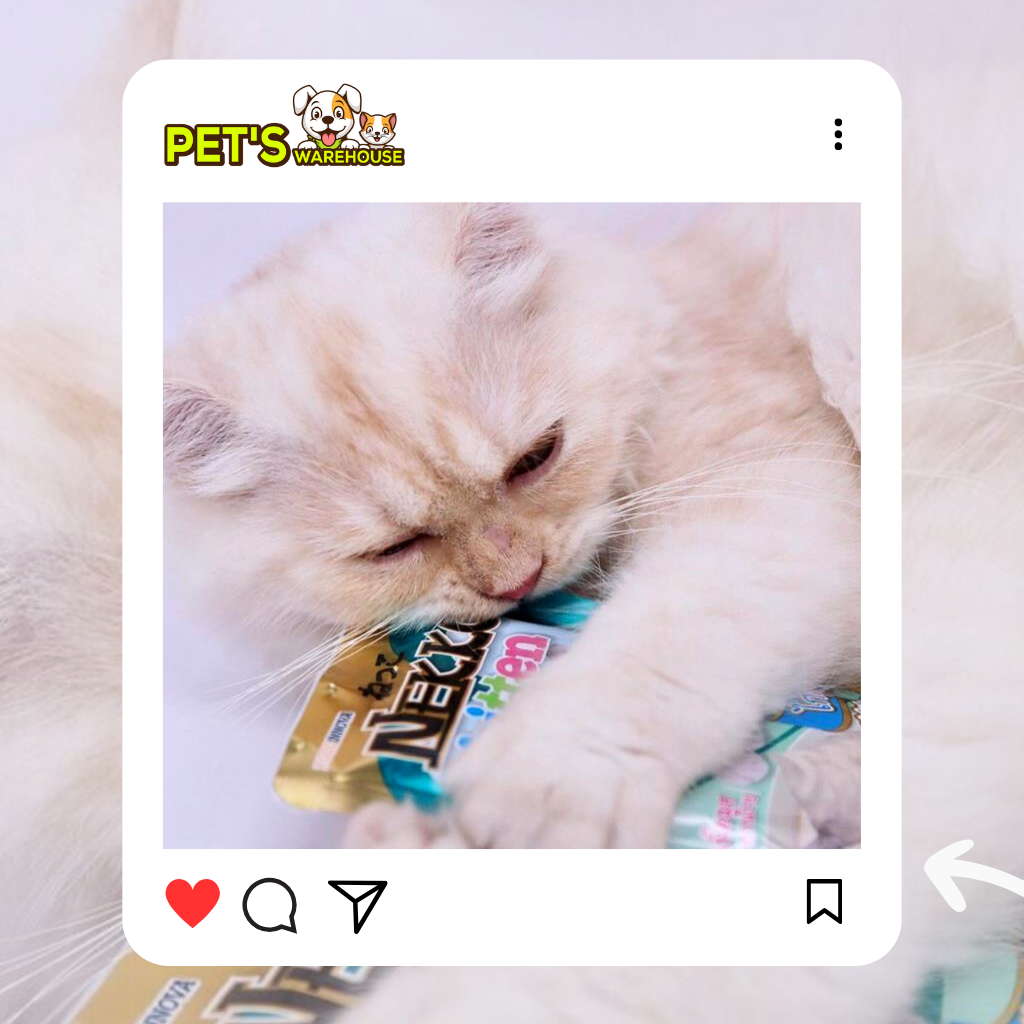 Pate mèo con Nekko, Thái Lan, gói 70g | Pet's Warehouse