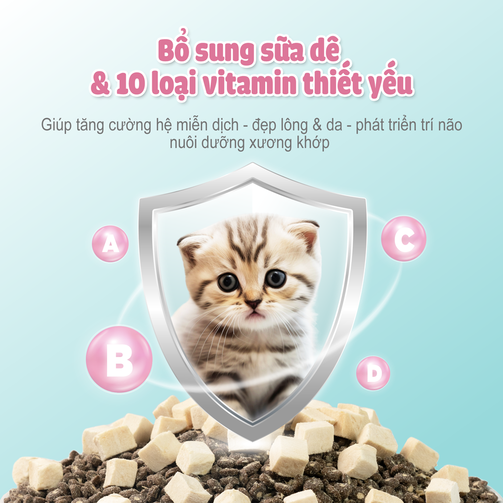 Thức Ăn Hạt Macaron D10, D5 PetQ Cho Mèo 200g