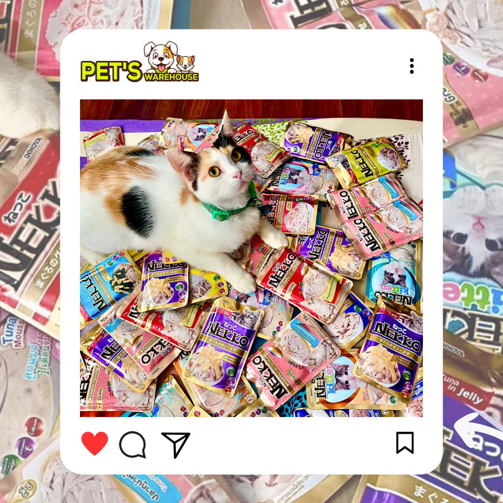 Pate mèo trưởng thành Nekko, Thái Lan, gói 70g | Pet's Warehouse