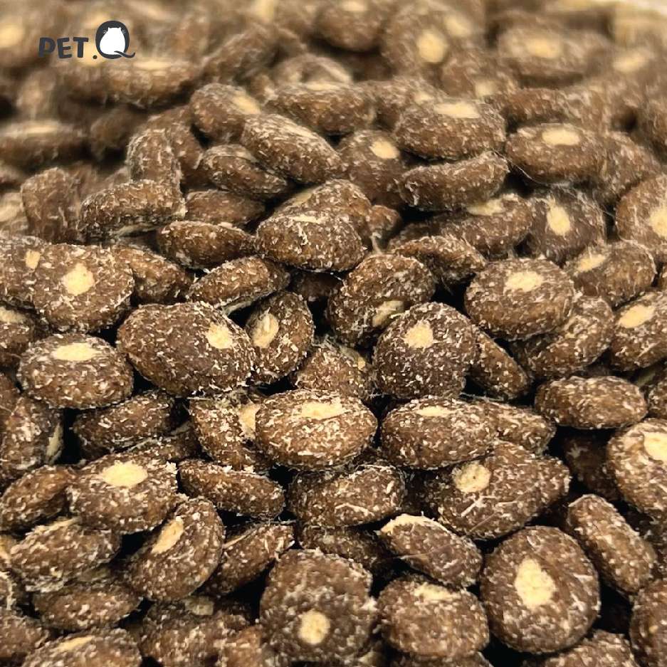 Thức Ăn Hạt Macaron D10, D5 PetQ Cho Mèo, Hộp 1.4Kg ( 7 gói x 200g)