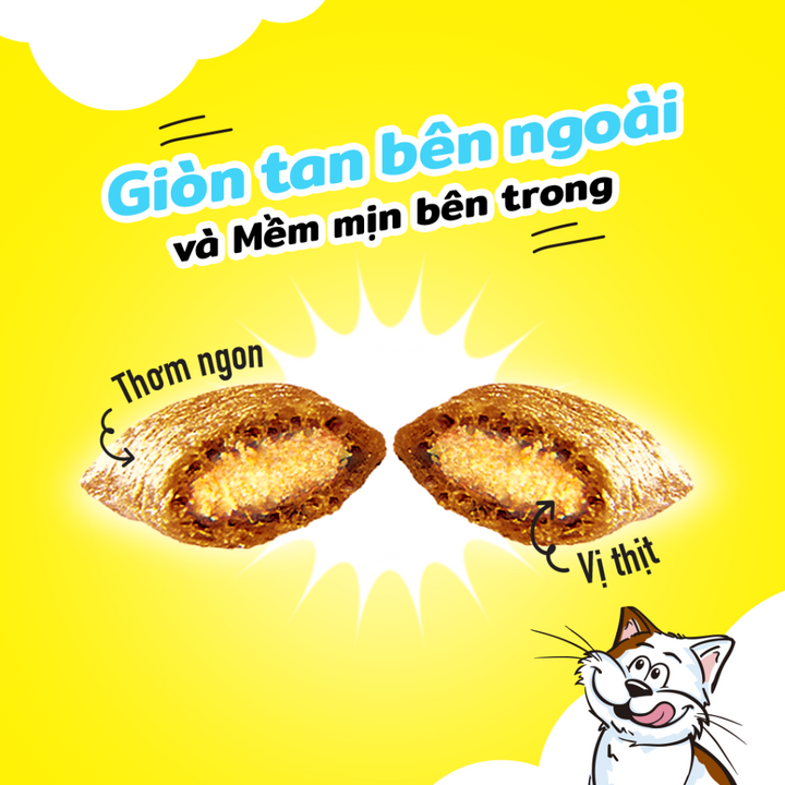 Bánh Thưởng Temptations Mèo 75G