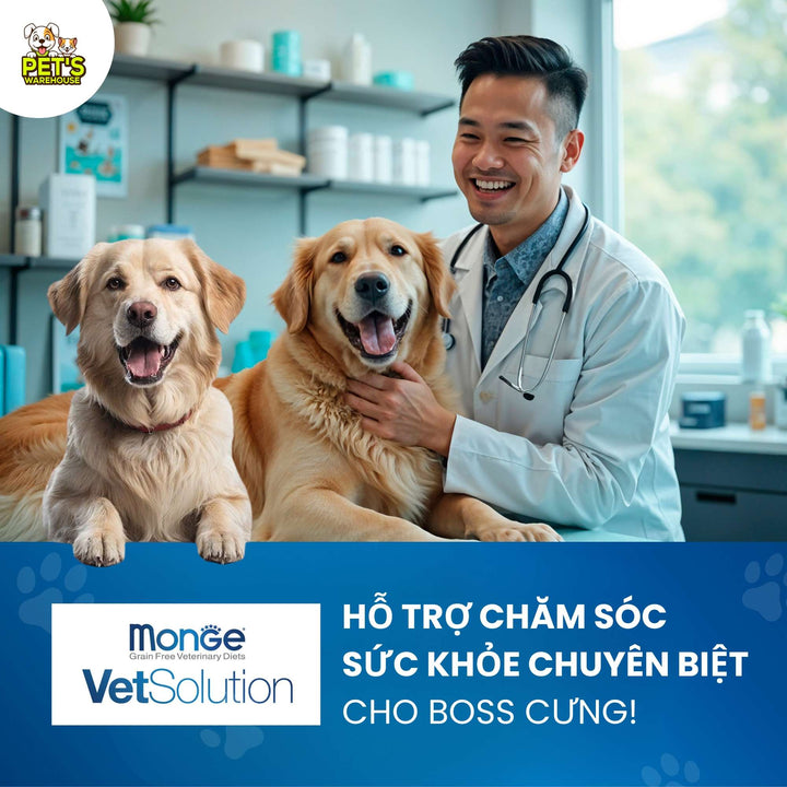 Pate Chó Monge Vet Solution Hỗ Trợ Chăm Sóc Sức Khỏe, Hộp 150g