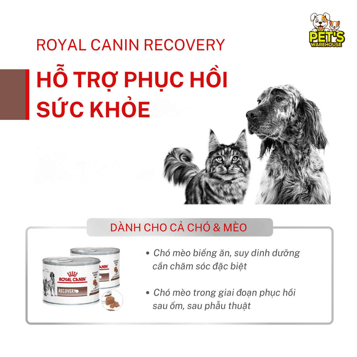 Pate Royal Canin Recovery Cho Chó Mèo, Lon 195g