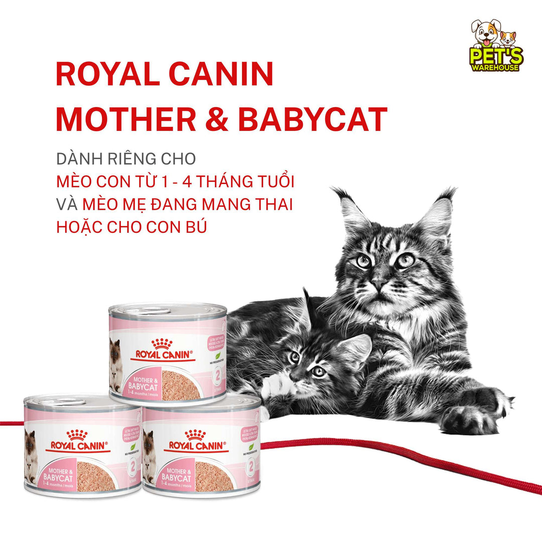 Pate Royal Canin Mother & Baby Cho Mèo Mẹ & Mèo Con 1 - 4 Tháng Tuổi, Lon 195g