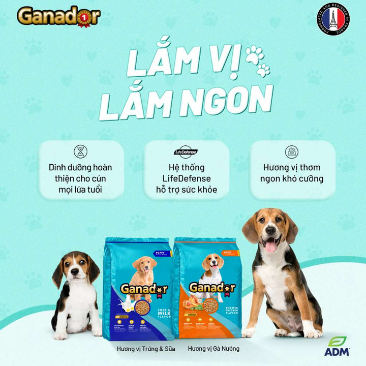 Hạt Ganador cho chó mọi lứa tuổi, nhiều vị, 400g | Pet's Warehouse