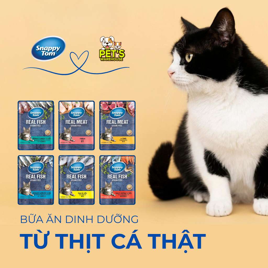 Pate Snappy Tom Real Fish Mèo 85G