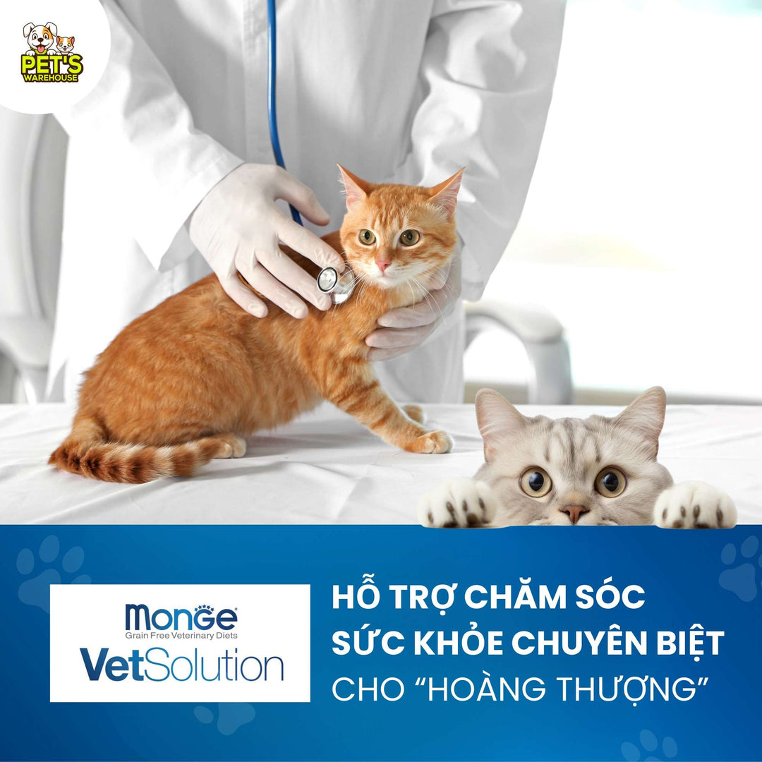 Pate Mèo Monge Vet Solution Hỗ Trợ Chăm Sóc Sức Khỏe, Hộp 100g