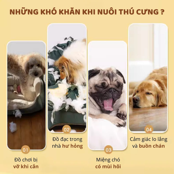 Đồ Chơi Fofos Xương Gặm Sợi Gỗ Thông Chó
