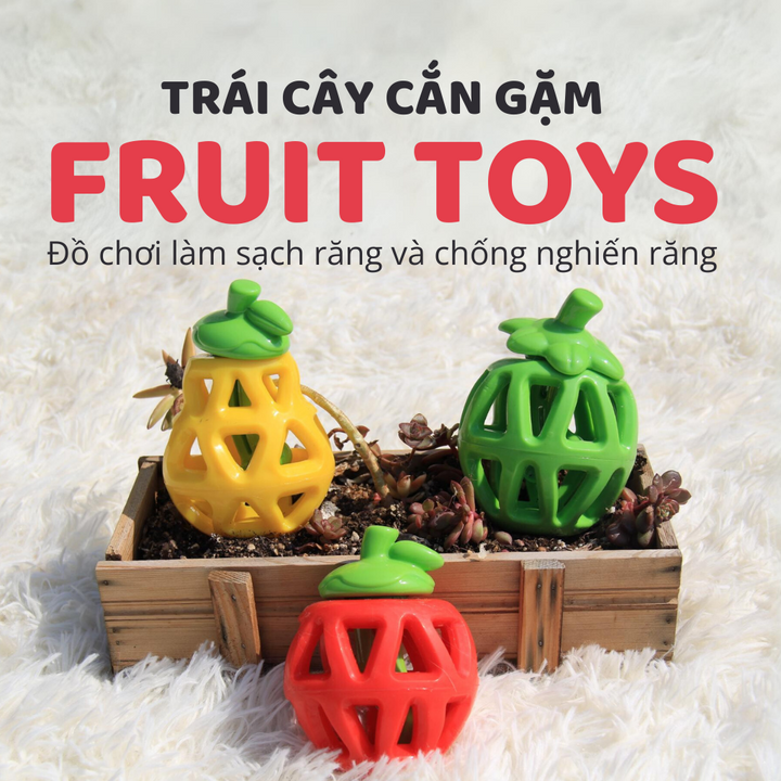 Đồ Chơi Fofos Rớt Thức Ăn Hình Trái Cây Chó