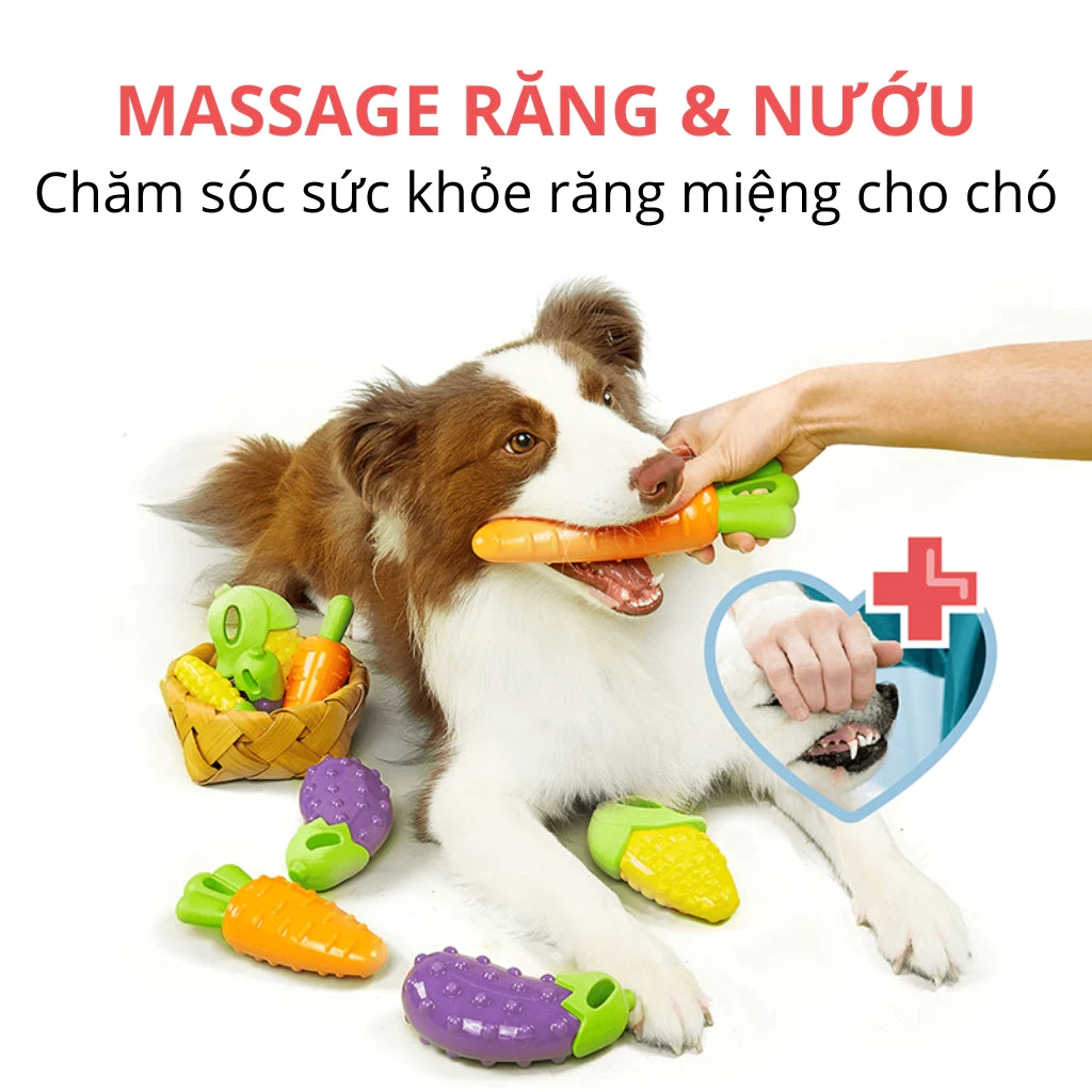 Đồ Chơi Fofos Nhai Gặm Hình Trái Cây Chó