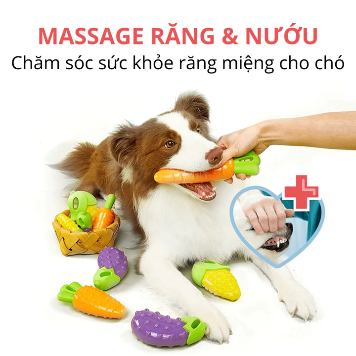Đồ Chơi Fofos Nhai Gặm Hình Trái Cây Chó