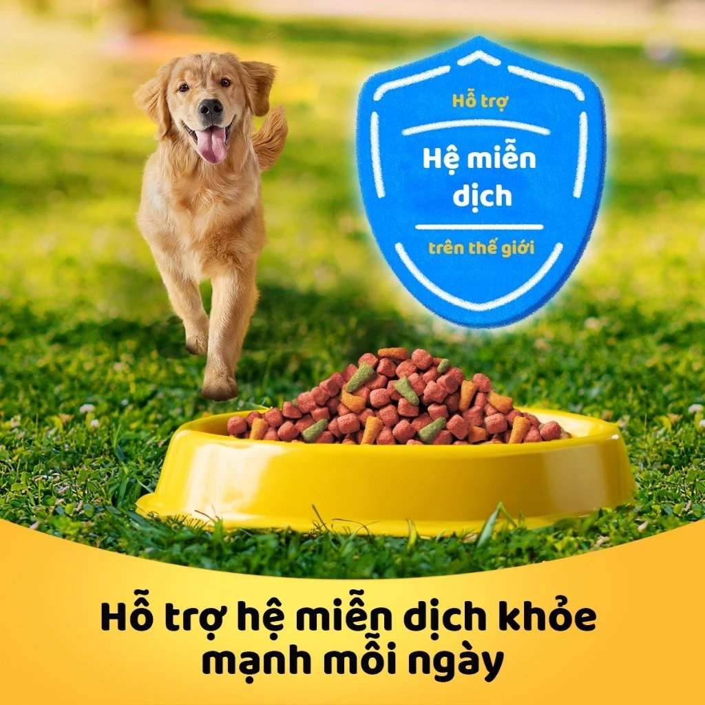 Hạt Pedigree Chó Trưởng Thành 3KG