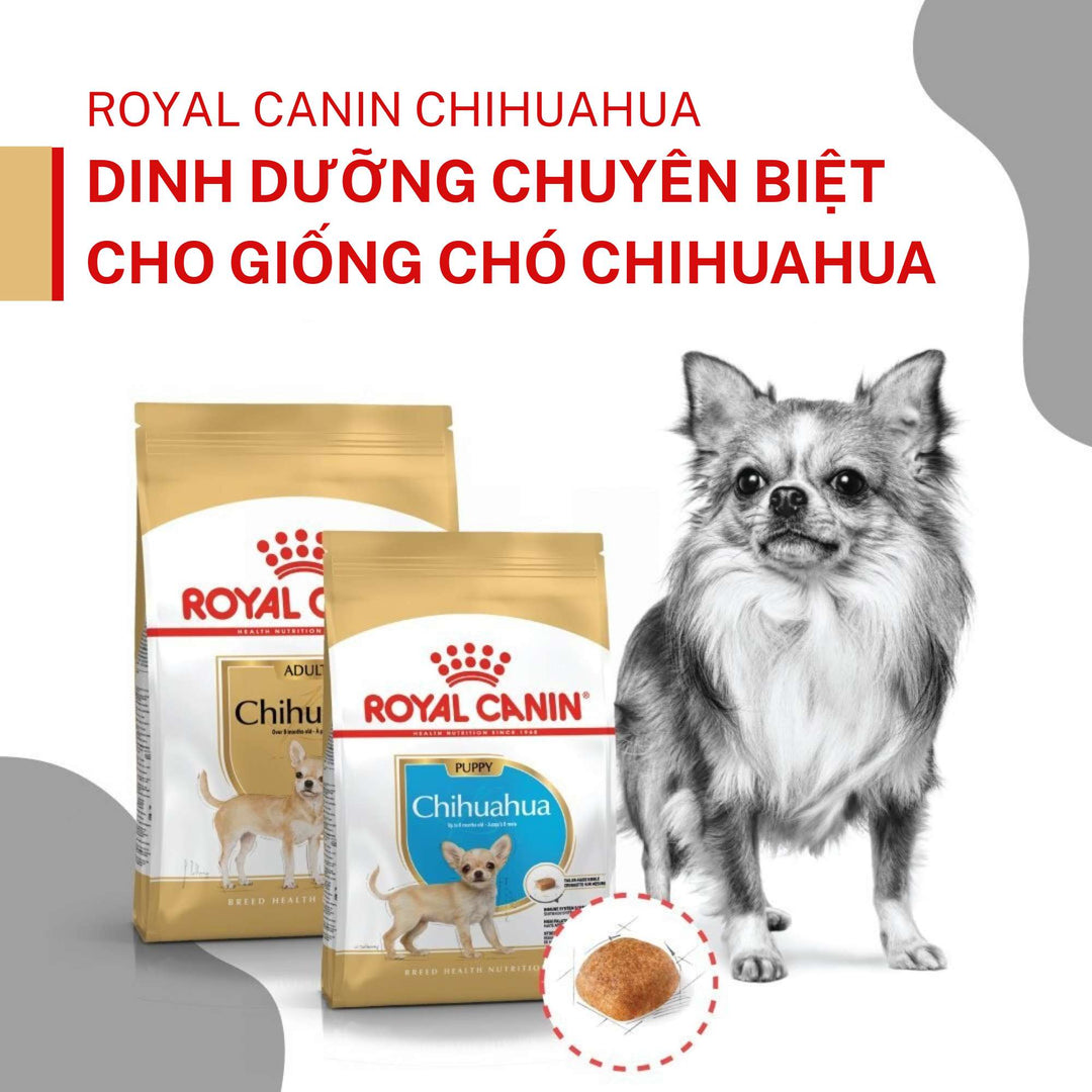 Hạt Cho Chó Chihuahua Royal Canin Chihuahua, Túi 1.5Kg