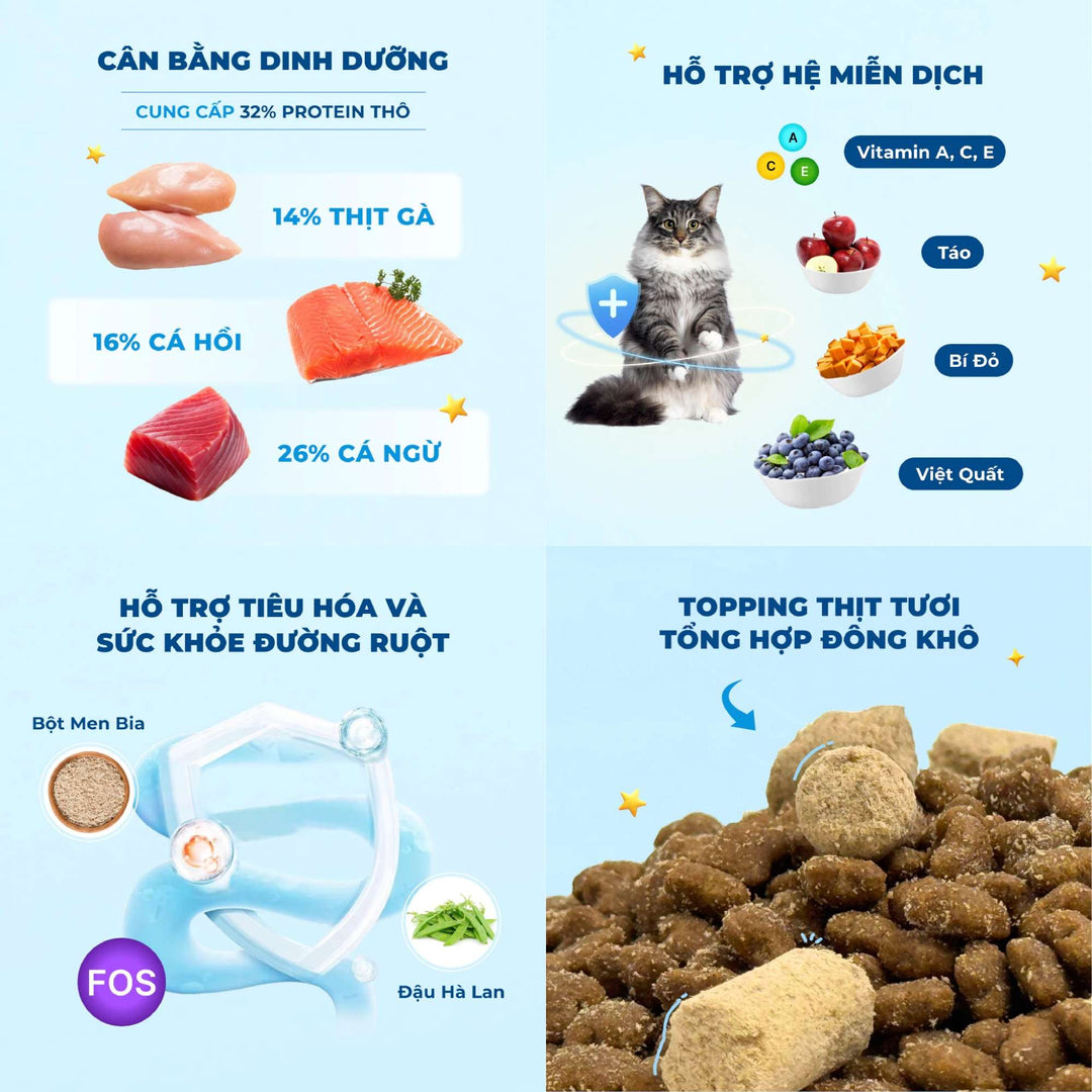 Hạt Mr.Vet Cho Mèo Mọi Lứa Tuổi, Nhiều Loại Theo Nhu Cầu, Túi 1Kg