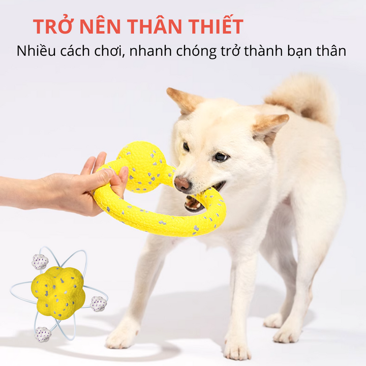 Đồ Chơi Fofos Siêu Bền Chó