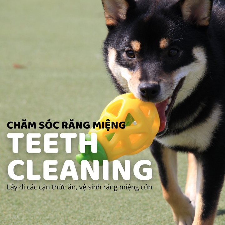 Đồ Chơi Fofos Rớt Thức Ăn Hình Trái Cây Chó