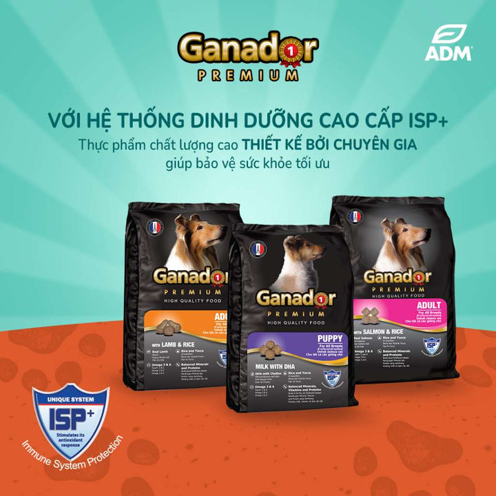 Hạt Ganador cho chó mọi lứa tuổi, nhiều vị, 3kg | Pet's Warehouse