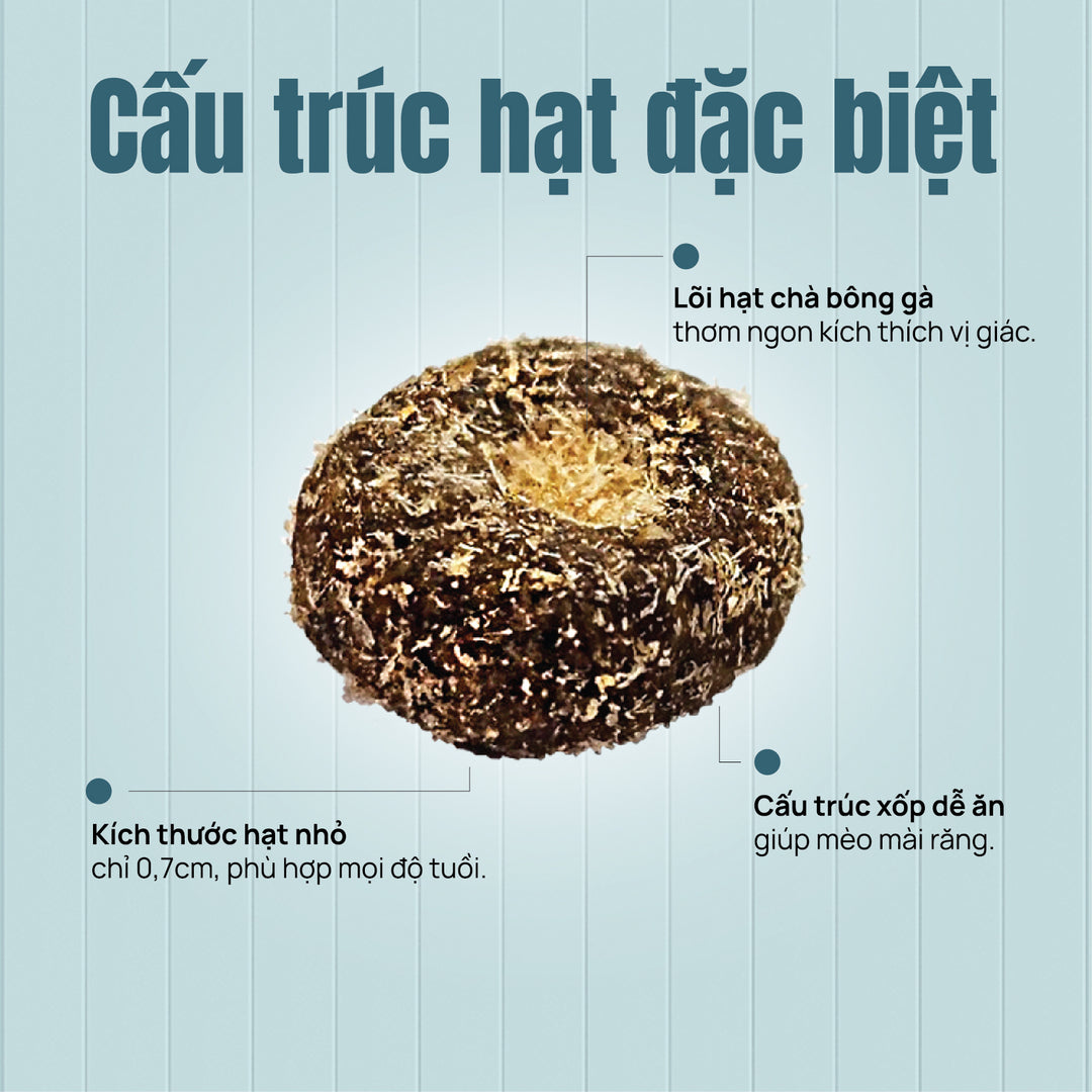 Thức Ăn Hạt Macaron D10, D5 PetQ Cho Mèo 200g