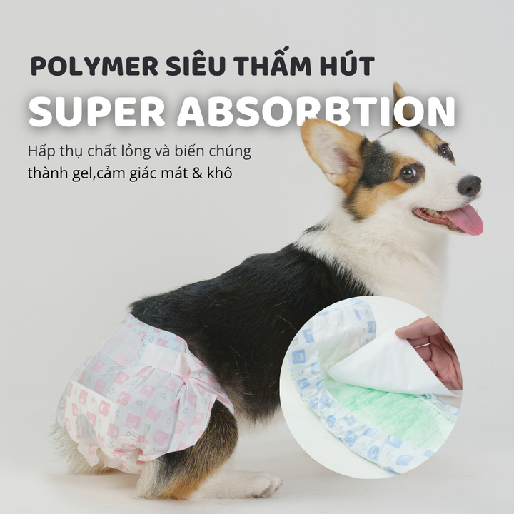 Tã Quần Fofos Chó Đực Mọi Lứa Tuổi