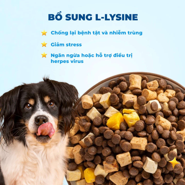 Hạt Mr.Vet D1 Hỗ Trợ Tiêu Hóa Cho Chó Mọi Lứa Tuổi, Công Thức Thịt Cừu Non, Túi 1.4Kg