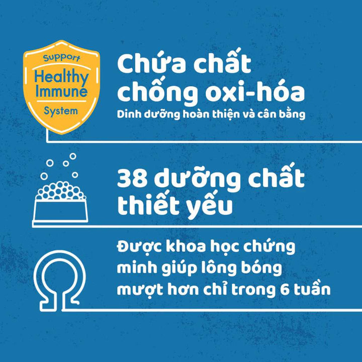 Hạt Pedigree Chó Trưởng Thành 3KG