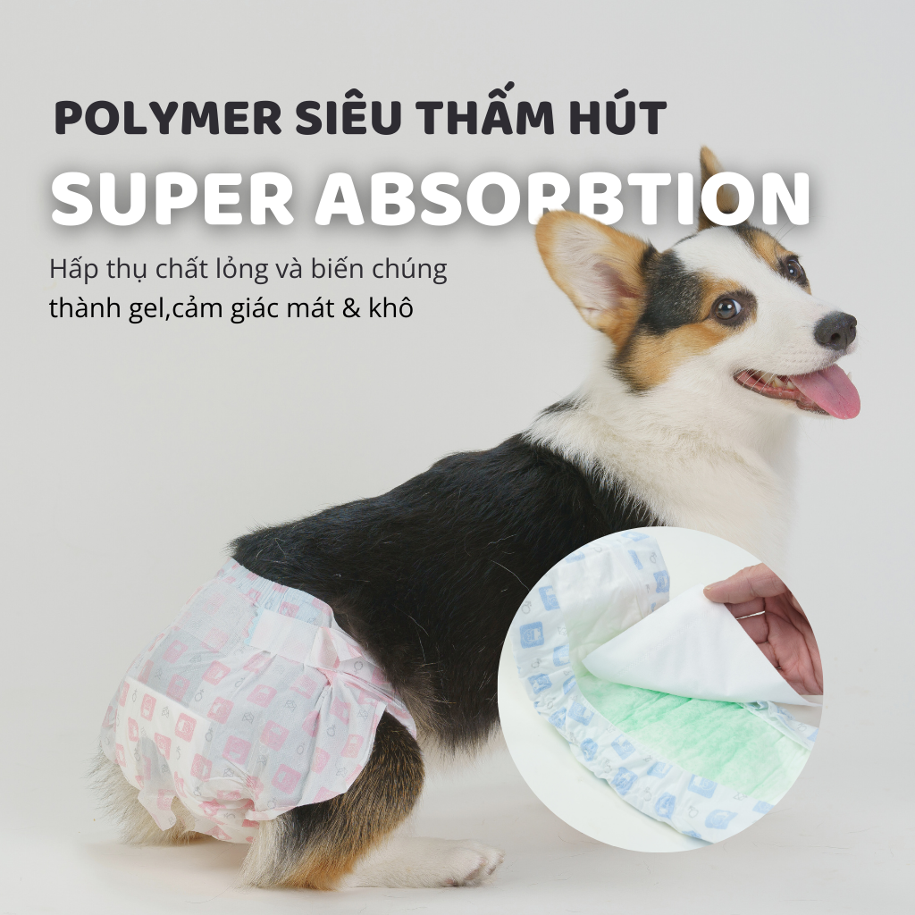 Tã Quần Fofos Chó Cái Mọi Lứa Tuổi