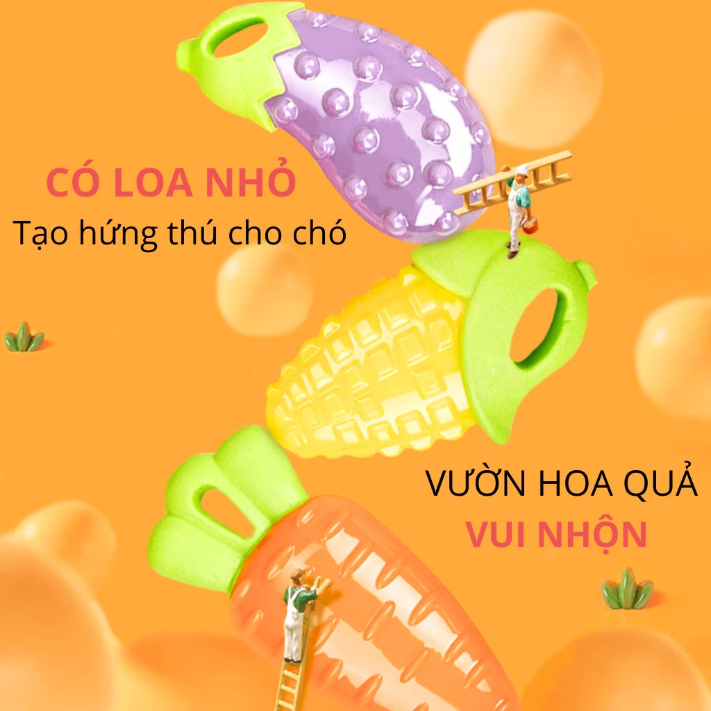 Đồ Chơi Fofos Nhai Gặm Hình Trái Cây Chó