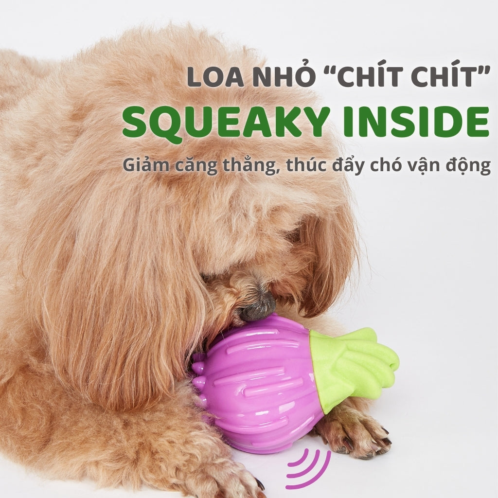 Đồ Chơi Fofos Nhai Gặm Hình Rau Củ Chó