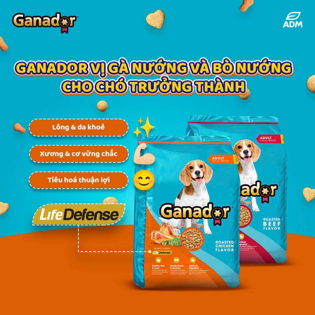 Hạt Ganador cho chó mọi lứa tuổi, nhiều vị, 400g | Pet's Warehouse