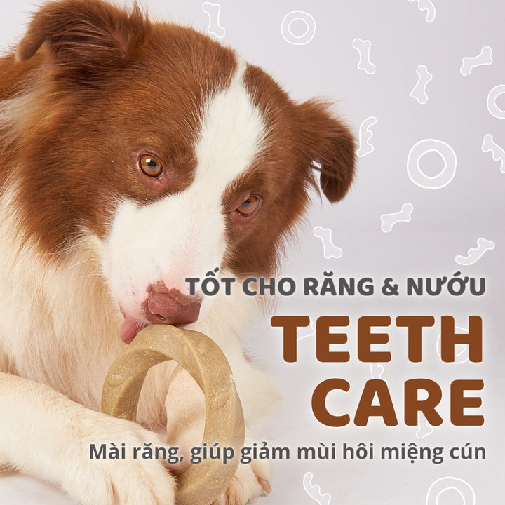 Đồ Chơi Fofos Xương Gặm Sợi Gỗ Thông Chó