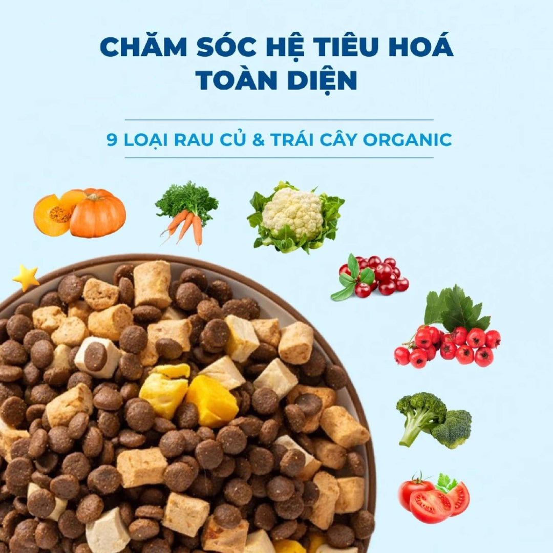 Hạt Mr.Vet D1 Hỗ Trợ Tiêu Hóa Cho Chó Mọi Lứa Tuổi, Công Thức Thịt Cừu Non, Túi 1.4Kg