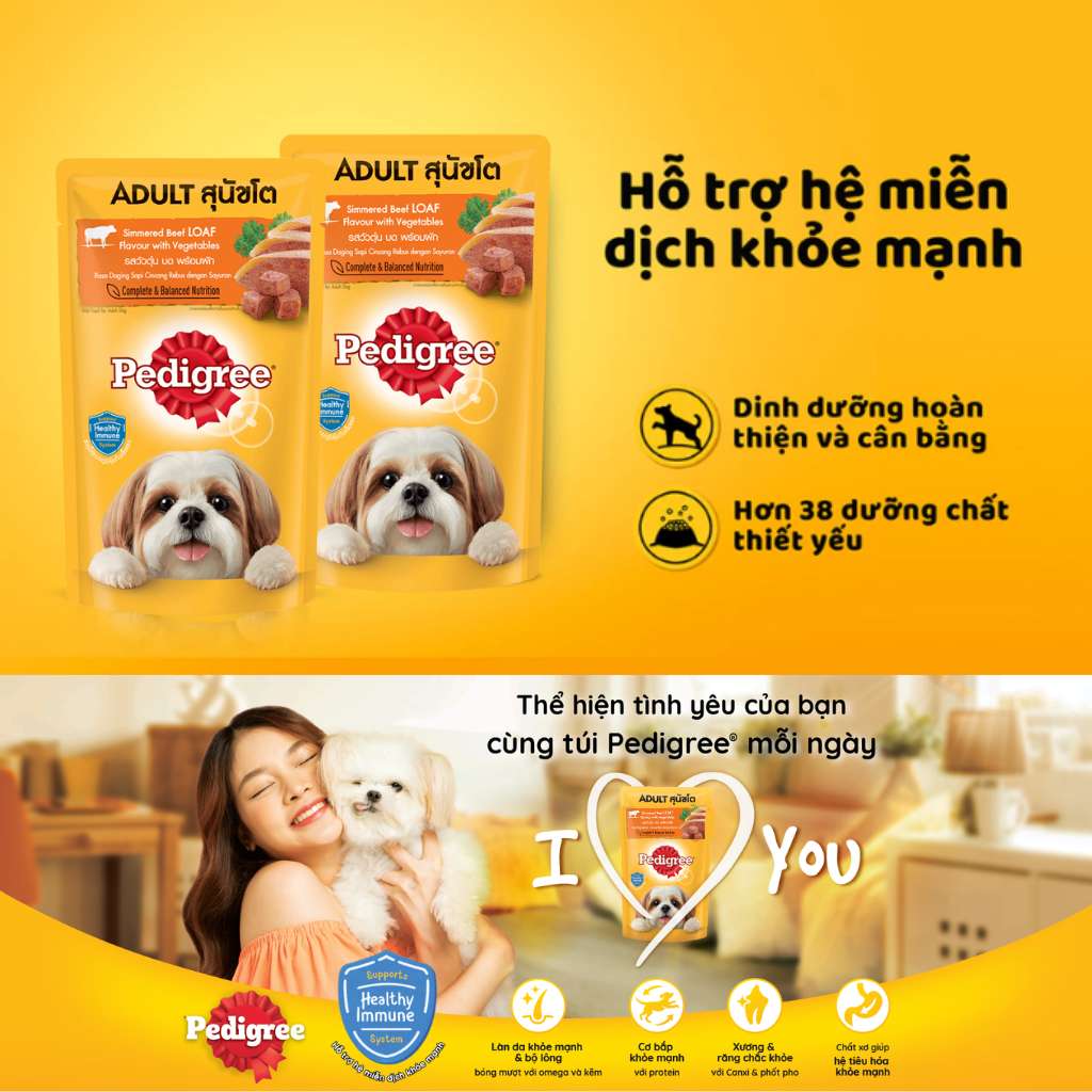 Pate Pedigree Chó Trưởng Thành Vị Bò Hầm Rau Củ 130G