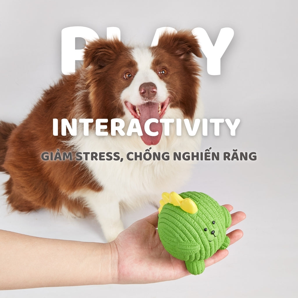 Đồ Chơi Fofos Banh Cao Su Latex Chó