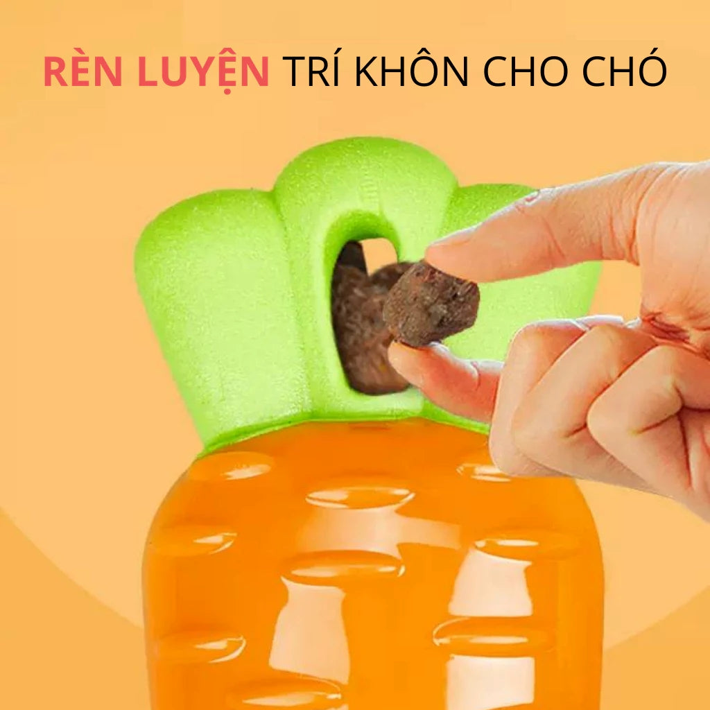 Đồ Chơi Fofos Nhai Gặm Hình Trái Cây Chó