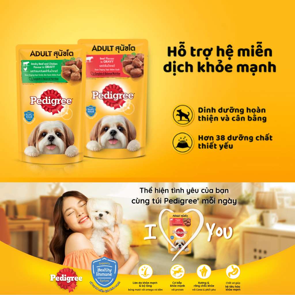 Pate Pedigree Chó Trưởng Thành 130G