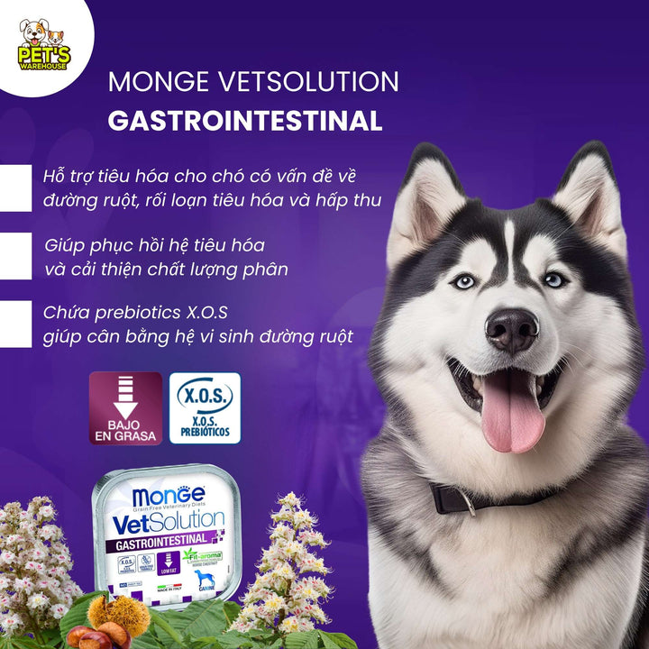 Pate Chó Monge Vet Solution Hỗ Trợ Chăm Sóc Sức Khỏe, Hộp 150g