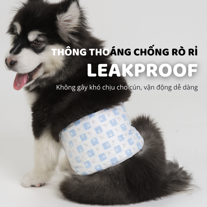 Tã Quần Fofos Chó Đực Mọi Lứa Tuổi