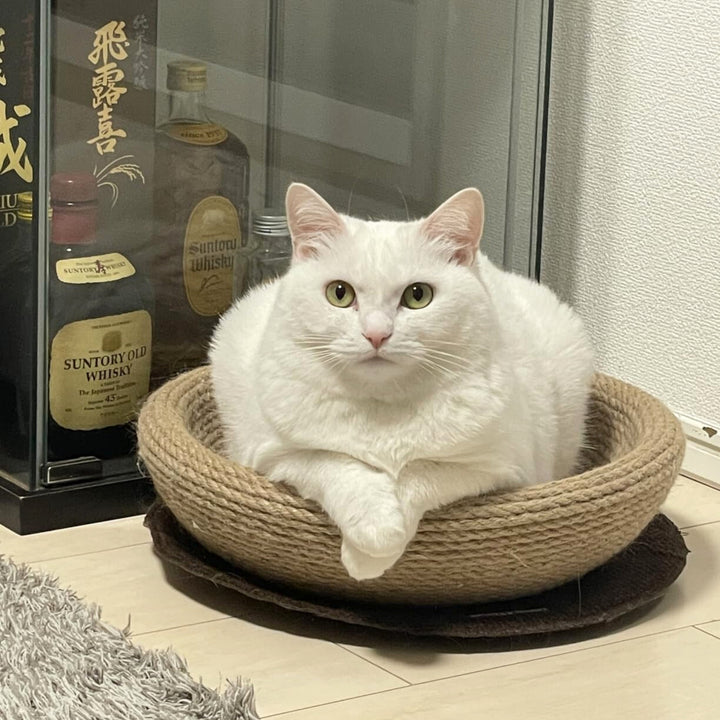 Nôi Cào Dây Thừng CattyMan Cho Mèo