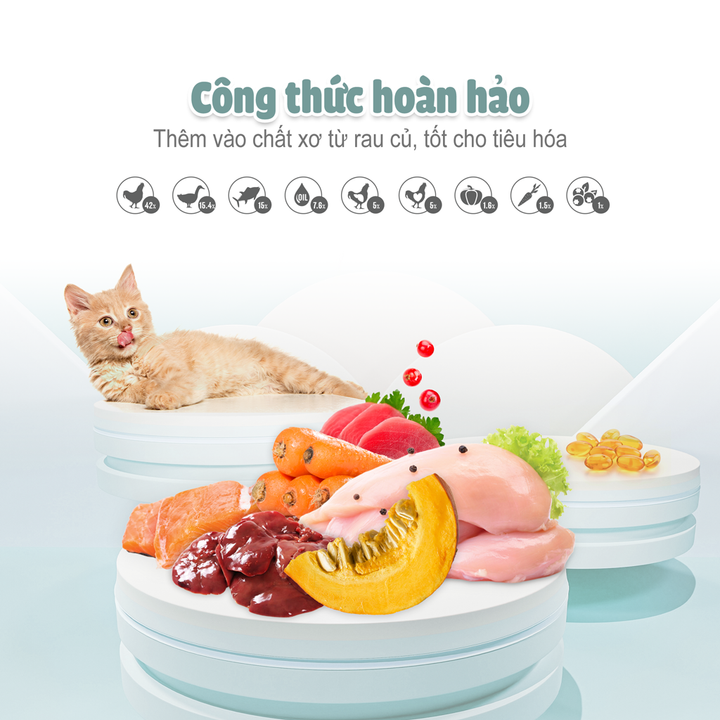 Thức Ăn Hạt Macaron D10, D5 PetQ Cho Mèo 200g