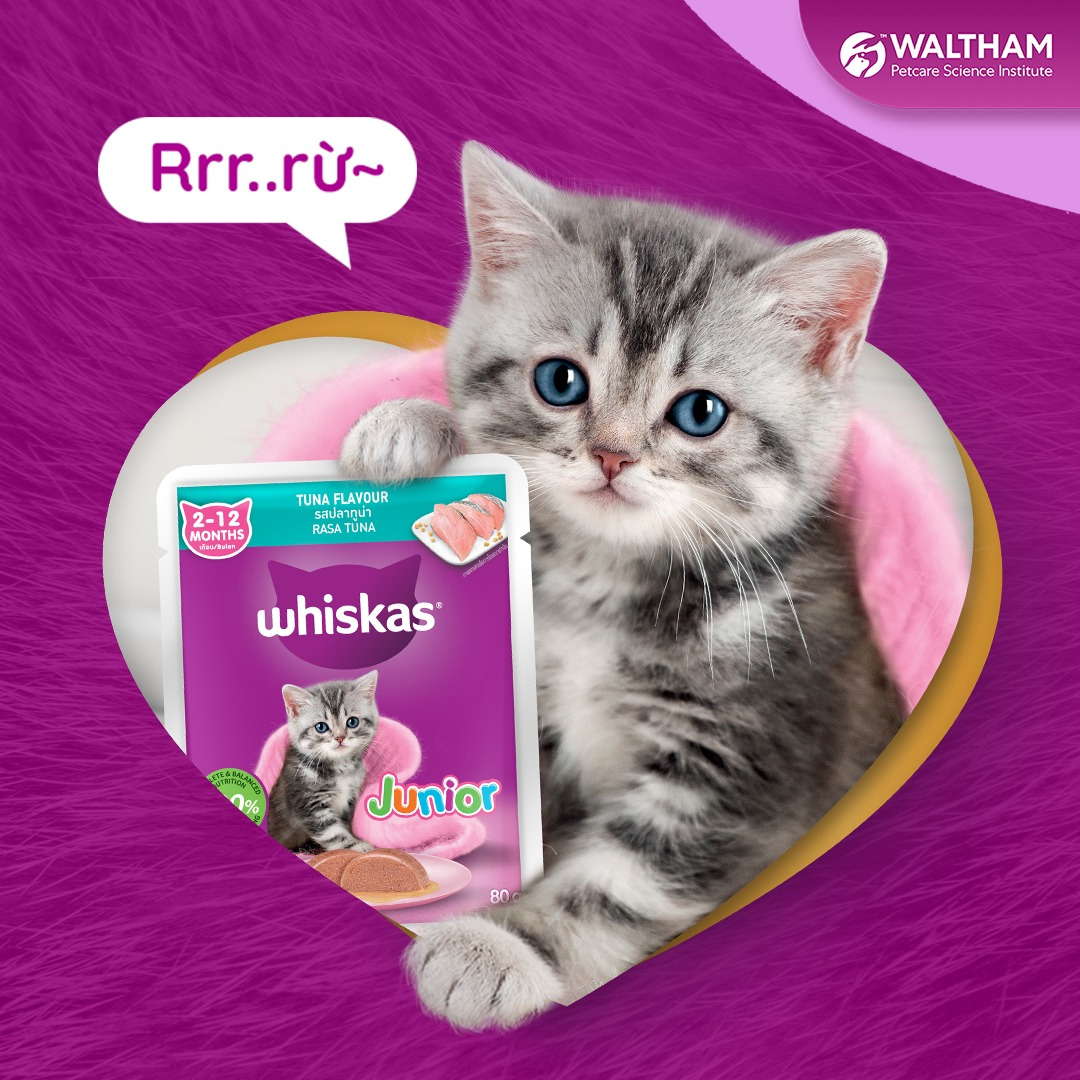 Pate Whiskas Mèo Con Gói 80G Nhiều Vị