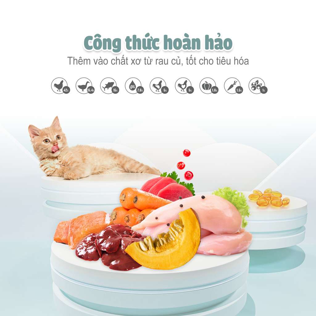 Thức Ăn Hạt Macaron D10, D5 PetQ Cho Mèo, Hộp 1.4Kg ( 7 gói x 200g)