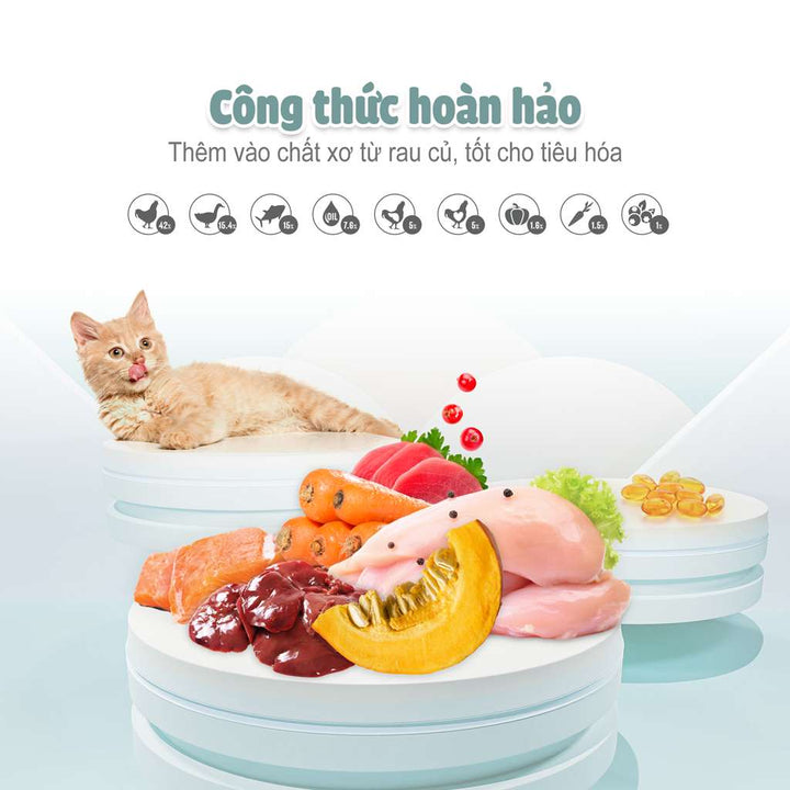 Thức Ăn Hạt Macaron D10, D5 PetQ Cho Mèo, Hộp 1.4Kg ( 7 gói x 200g)