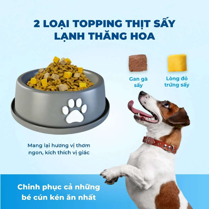 Hạt Mr.Vet D1 Hỗ Trợ Tiêu Hóa Cho Chó Mọi Lứa Tuổi, Công Thức Thịt Cừu Non, Túi 1.4Kg
