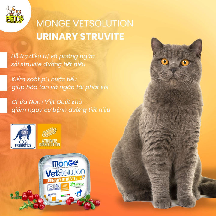 Pate Mèo Monge Vet Solution Hỗ Trợ Chăm Sóc Sức Khỏe, Hộp 100g