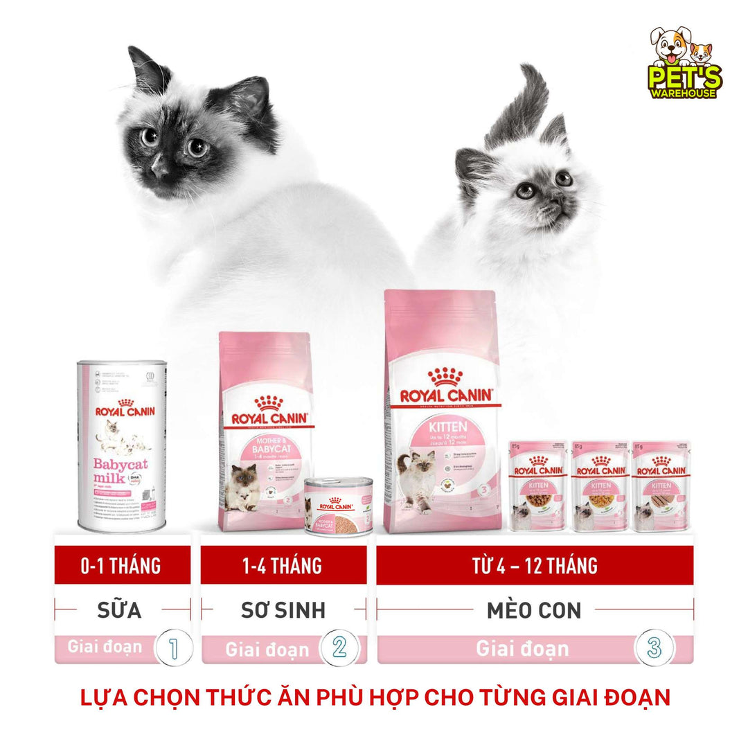 Pate Royal Canin Mother & Baby Cho Mèo Mẹ & Mèo Con 1 - 4 Tháng Tuổi, Lon 195g